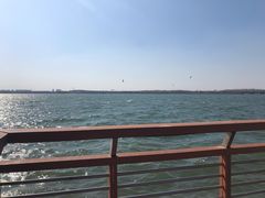 -丁香湖公园