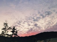 -怪坡茶馆
