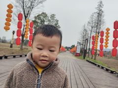 -道林古镇