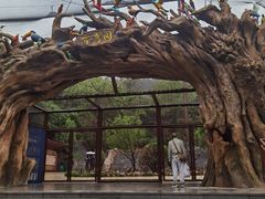 -大连森林动物园