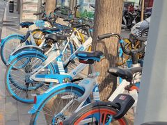 -中央广播电视总台(光华路办公区)