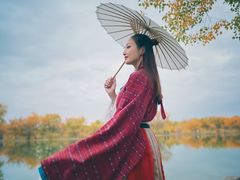 -金塔沙漠胡杨林景区