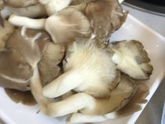 -古乐牛香·鲜牛肉牛杂火锅(新区店)