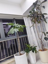 -HEYAN荷妍专业脱毛连锁机构