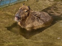 -南京金牛湖风景区