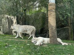 -北京野生动物园