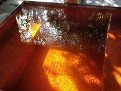 -张家港金凤凰度假村温泉