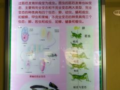 -上海昆虫博物馆