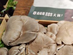 -尚尚仙·酸汤猪手·猪肚鸡火锅(华联万柳购物中心店)