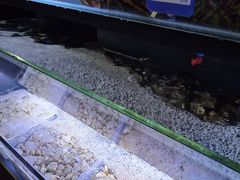 -御龙海鲜火锅(十六浦店)