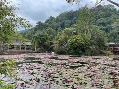 -野象谷景区