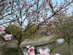 -江南大学(蠡湖校区)