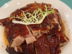 -椿记烧鹅(叠彩店)