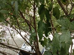 -福建省厦门第六中学东渡校区