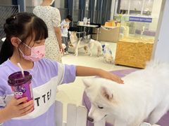 -怪兽屋·羊驼·猫咖·狗咖(俊华广场店)