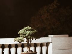 -南京东郊国宾馆