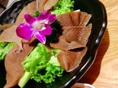 -掂档潮汕牛肉火锅(沈阳万象城店)