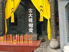 -大槐树寻根祭祖园