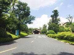 -浙江安吉JW万豪酒店·万豪中餐厅