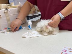 -瑞派康怡24h宠物医院·犬猫医疗中心·微创绝育(瑞景分院)