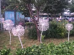 -龙湖星悦荟(颐和店)