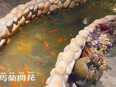 -馬蘭花開(车站大道店)