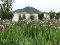 -南北湖风景区