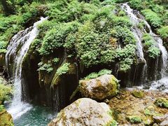 -三峡人家风景区