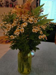 -静博士·养生养颜