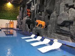 -兴芮温泉度假区