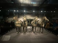 -秦始皇帝陵博物院-丽山园