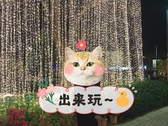 -三亚游船旅游中心(三亚鹿回头游艇游船公共码头店)