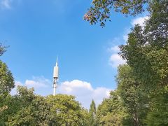 -杭州城北体育公园