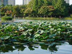 -白塘生态植物园