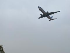 -空港花田景区