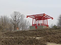 -大望京公园