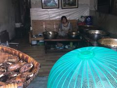 -邓氏兔头