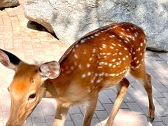 -水上乐园·欢乐世界