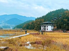 -紫鹊界梯田景区