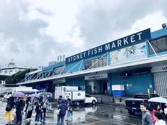 -悉尼鱼市场