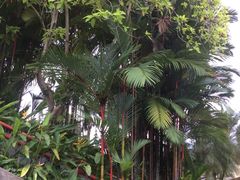 -吉隆坡雀鸟公园