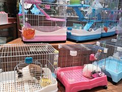 -龟与熊猫宠物公园(南坪店)