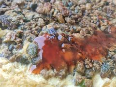 厦门海蛎煎-鑫悦楼煎蟹·16年海鲜大排档