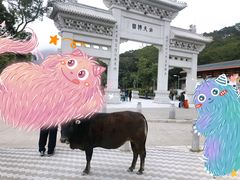 -天坛大佛