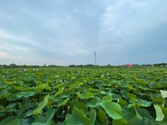 -嘉北郊野公园
