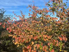 -云峰山自然风景区