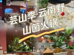 -芸山季·云南野生菌火锅(宝能环球汇店)