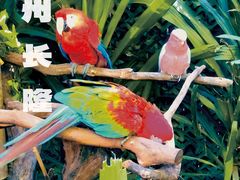 -广州长隆野生动物世界