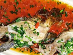 -驻海渔市(置信店)