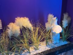 -青春足迹·概念店·小憩足疗SPA